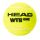 HEAD WTB ONE Tennisbälle 4er Dose | Offizieller WTB Spielball
